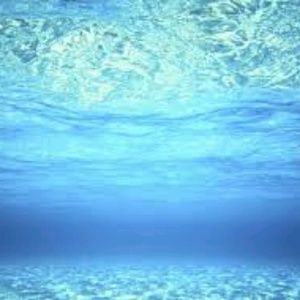 Meet your Posher, Katy